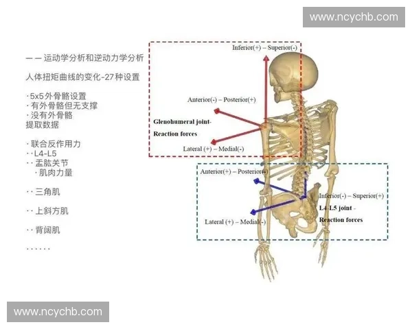 运动生物力学视角下人体运动效率与损伤预防的机制研究